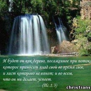 Meet your Posher, Margarita